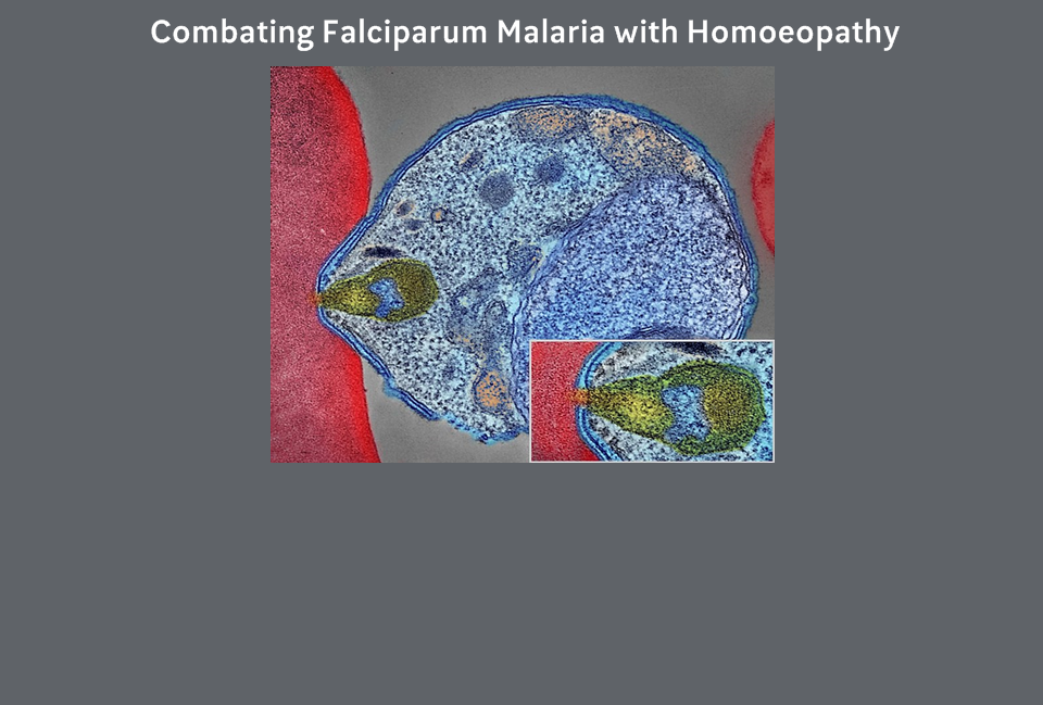 Combating Falciparum Malaria with Homoeopathy